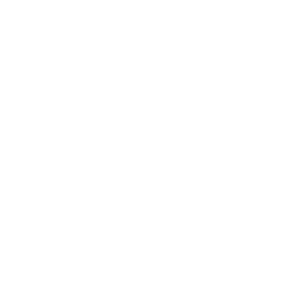 Institute of Restorative and Cosmetic Gynecology 5 financing